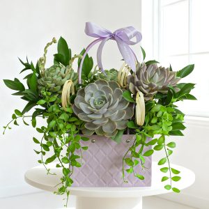 Hoa tặng bạn bè - Hoa sen đá 30