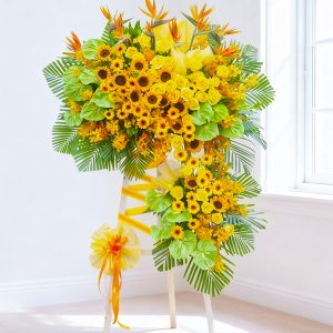 Hoa Hướng Dương - Big Step