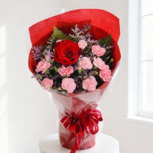 Cẩm chướng - Điều thân thương