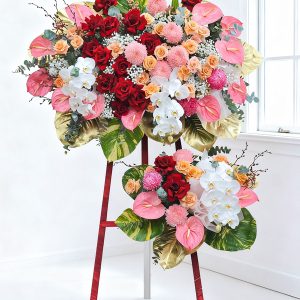 Hoa khai trương - Big Congratulations