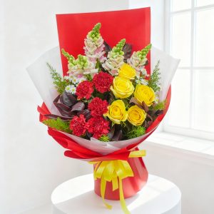 Cẩm chướng - Vui tươi