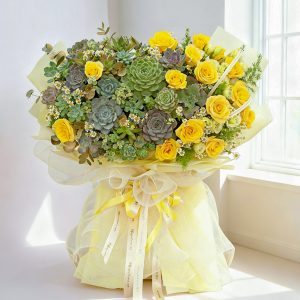 Sen đá - Kệ hoa sen đá mini 2
