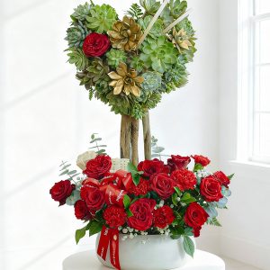 Sen đá - Festive Flourish