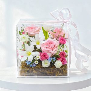 Hoa sinh nhật - Starlight