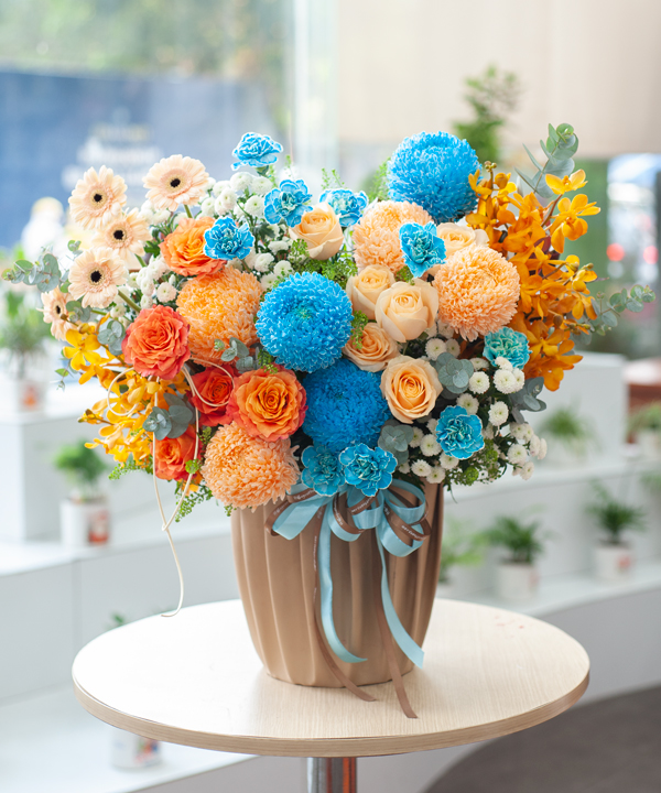 Cẩm chướng - Blue Muse - Ảnh 2