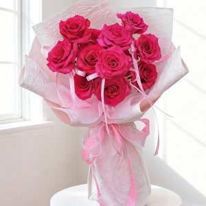 Cẩm chướng - Darling Girl