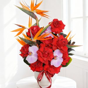 Hoa chúc sức khỏe - Spring rythm