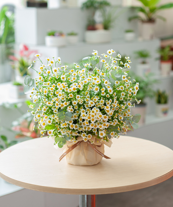 Bình hoa tươi - Mini flower vase 06 - Ảnh 2
