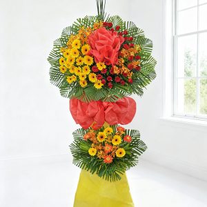Hoa đồng tiền - Hưng Thịnh 4