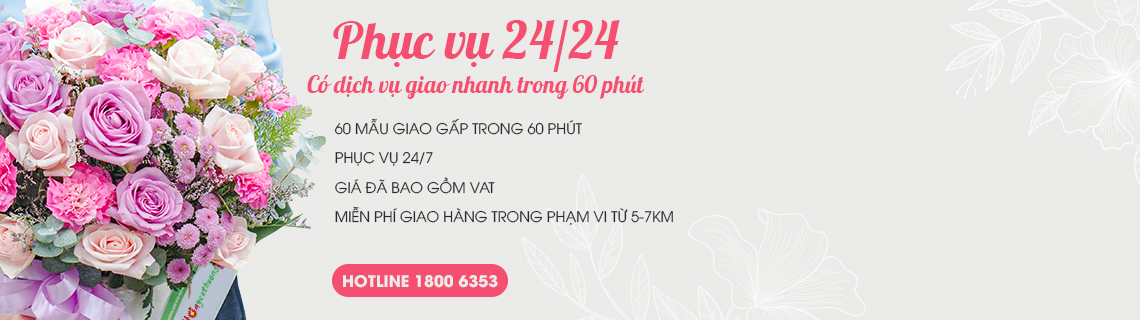 434408_giao-hang-nhanh-60p