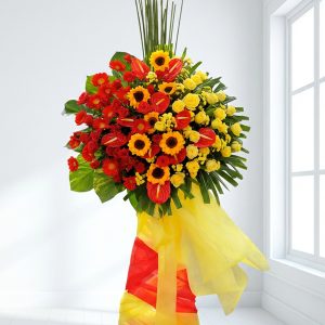 Hoa đồng tiền - Vững Bền