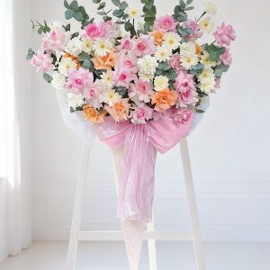 Cẩm chướng - Sugar Crush