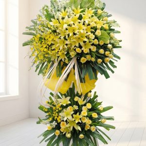 Lan hồ điệp - Tương Lai Tươi Sáng