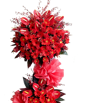 Hoa đồng tiền - Lucky Flower
