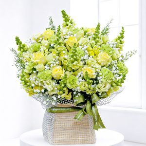 Hoa Cát Tường - Bản tình ca mùa đông