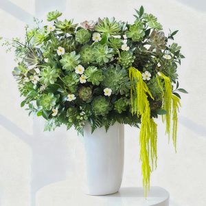 Hoa tặng bạn bè - Hoa sen đá 35