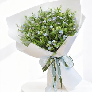 hoa-tang-ban-be-landing-on-you